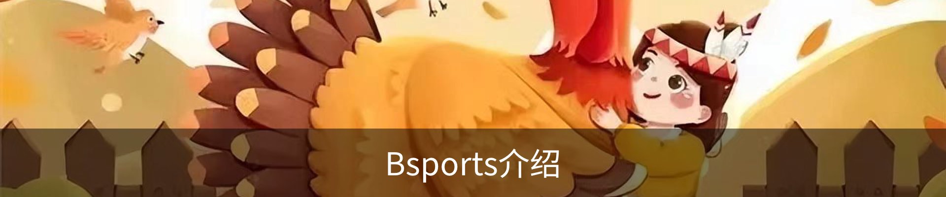 Bsports介绍